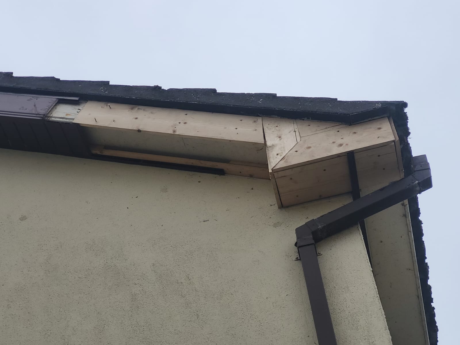Timber Repairs